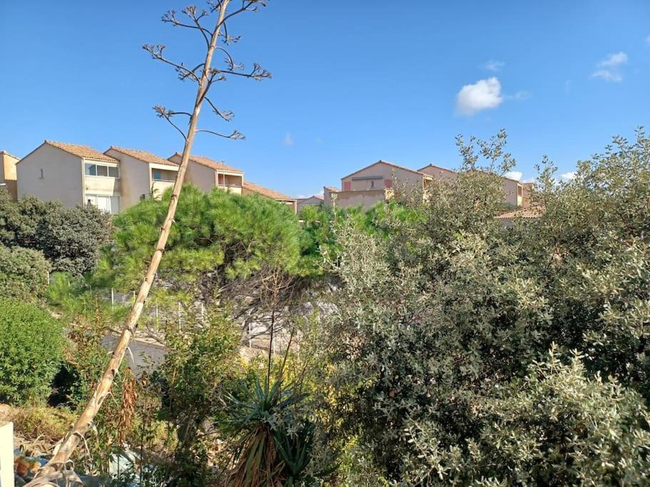Plain-Pied, Terrasse, Piscine, Pleine Vue Mer, Plage A 6' A Pied, Parking, Wifi Fleury  Eksteriør billede